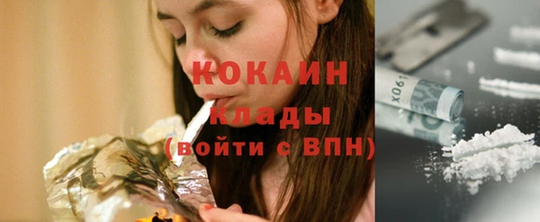 МДПВ Протвино