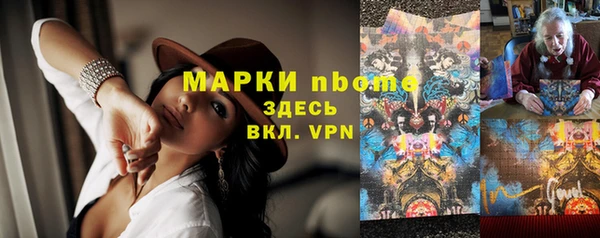 МДПВ Протвино