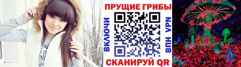 MEGA рабочий сайт Ялуторовск Галлюциногенные грибы Psilocybine cubensis сколько стоит