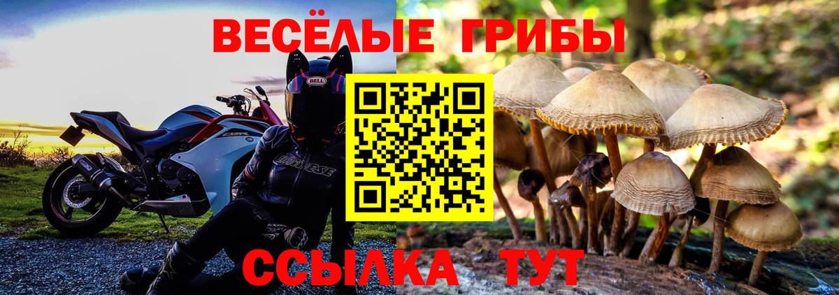 Ялуторовск  Галлюциногенные грибы мухоморы  Псилоцибиновые грибы MAGIC MUSHROOMS  Вход с VPN 